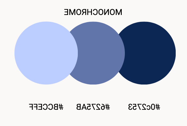 Image of NMT Monochrome color palette